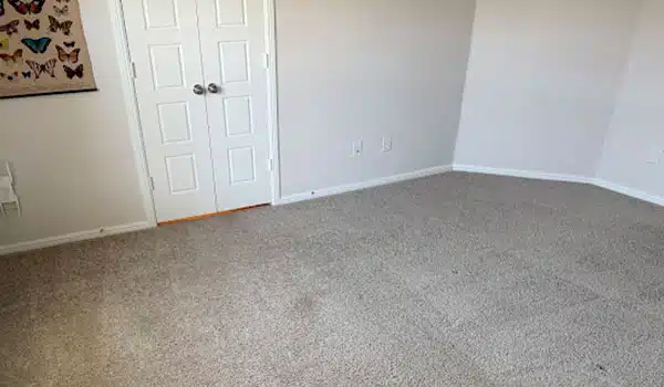 Carpet Cleaning nav