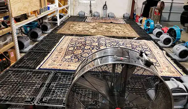 Rug Cleaning nav