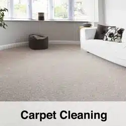 Carpet Cleaning