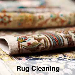 Rug Cleaning